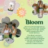 Bloom Nutrition Proteína aislada de suero en polvo, café helado, mezcla de bebida pura Iso después del entrenamiento, mezcla de