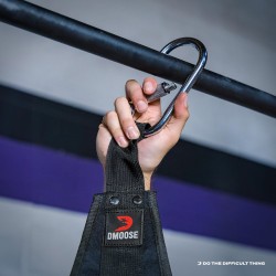 DMoose Hanging Ab Straps for Pull Up Bar & Abdominal Muscle Building, Rip Resistant and Padded Arm Support for Ab Workout, Ab